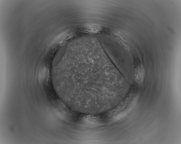 X0000113270568200909241545