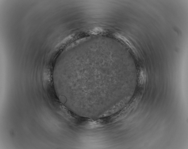 X0000113270569200909241545