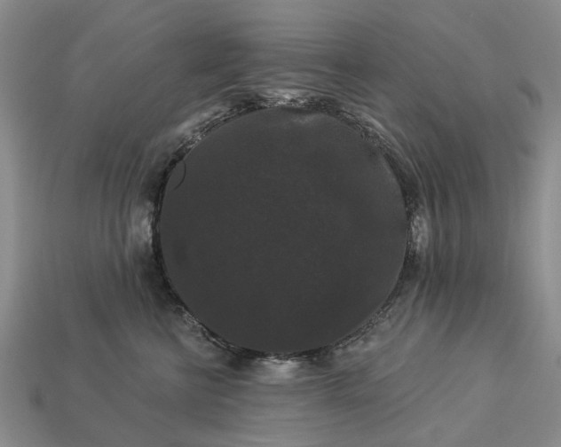 X0000113270570200909241545