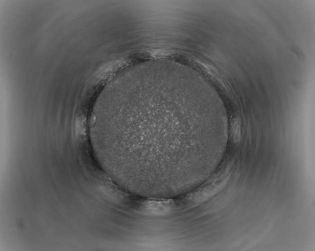 X0000113270571200909241545