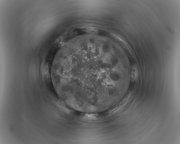X0000113270573200909241545