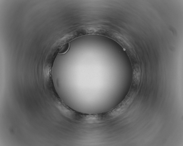 X0000113270574200909241545