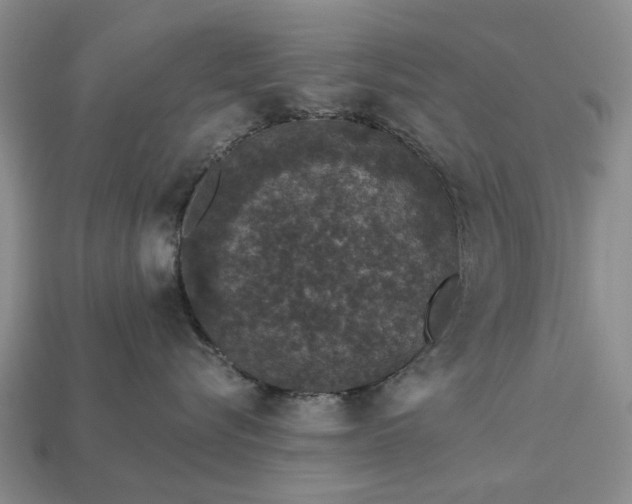 X0000113270576200909241545