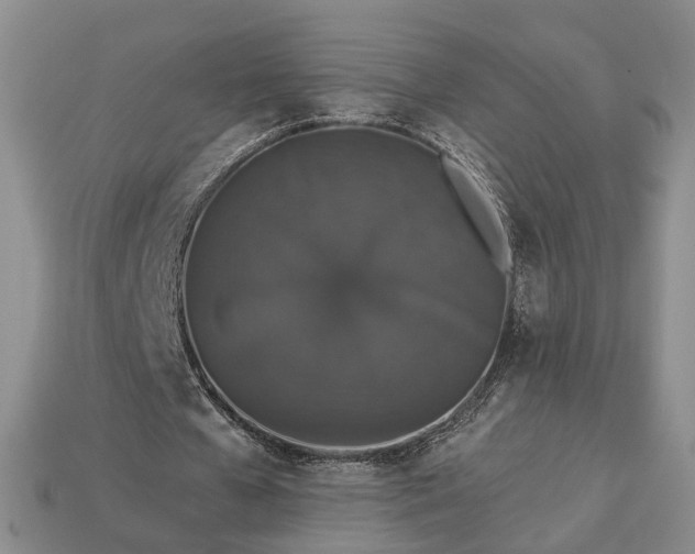X0000113270577200909241545
