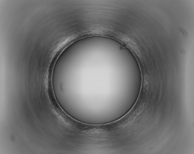X0000113270578200909241545