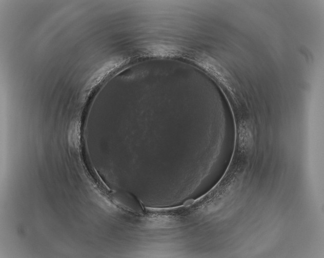 X0000113270581200909241545