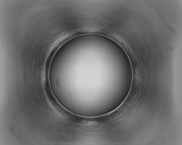 X0000113270582200909241545