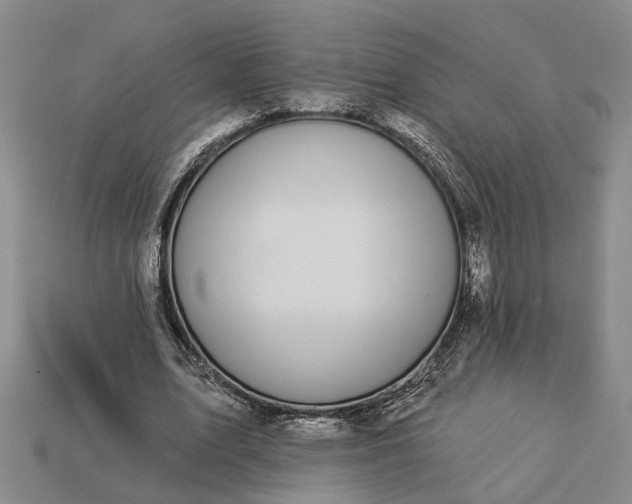X0000113270583200909241545