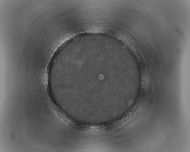 X0000113270584200909241545