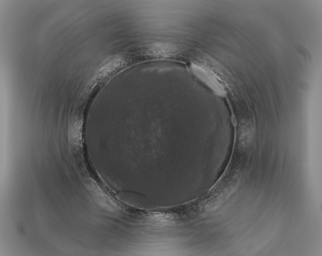 X0000113270585200909241545