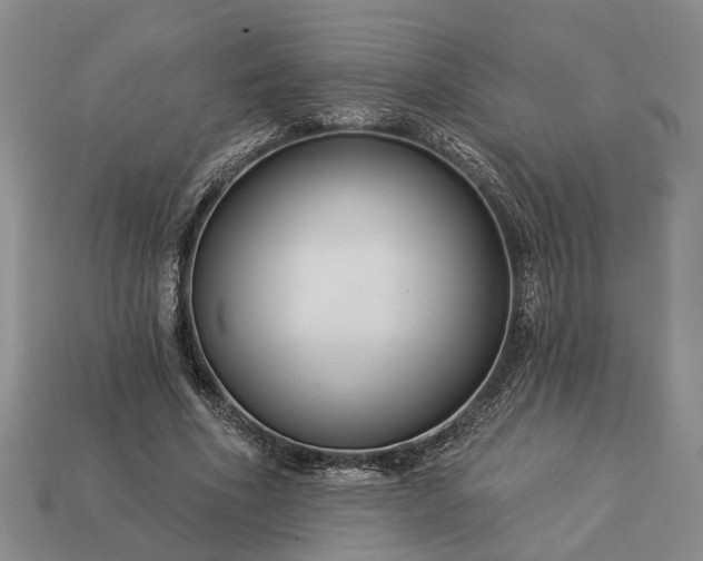 X0000113270586200909241545