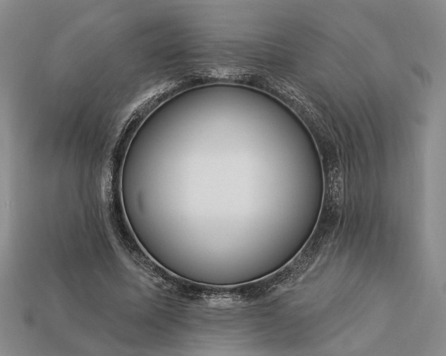 X0000113270587200909241545