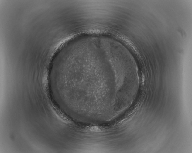 X0000113270588200909241545