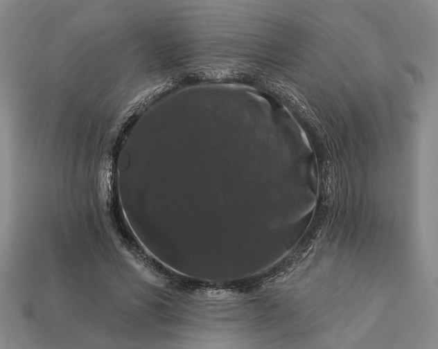 X0000113270590200909241545
