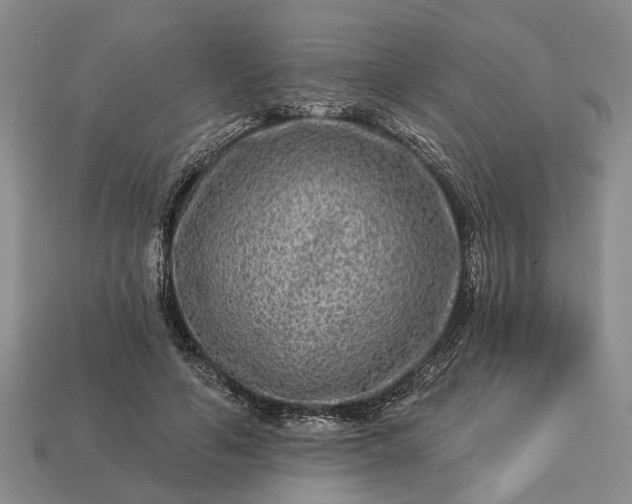 X0000113270594200909241545