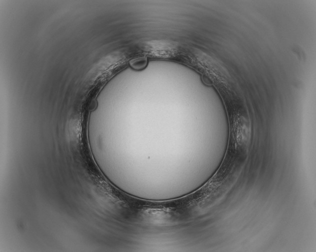X0000113270595200909241545