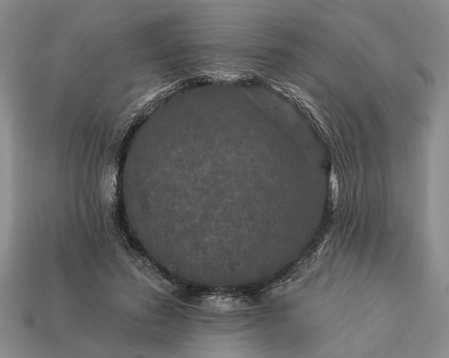 X0000113270596200909241545