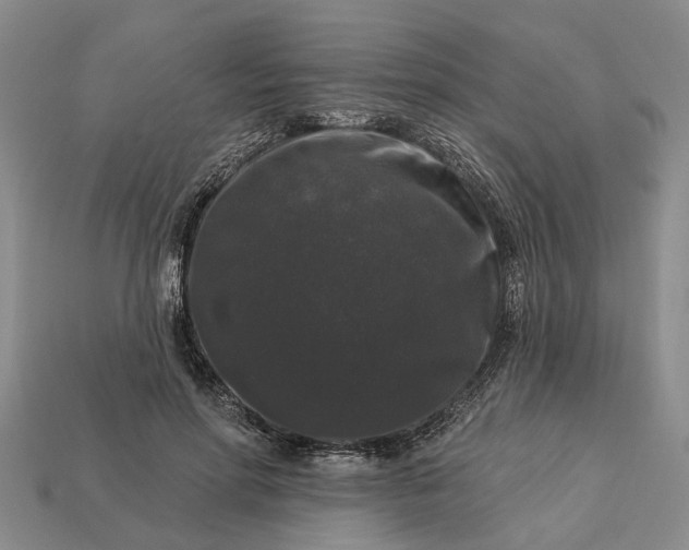 X0000113270598200909241544