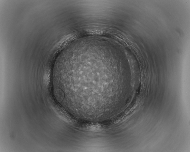 X0000113270600200909241544