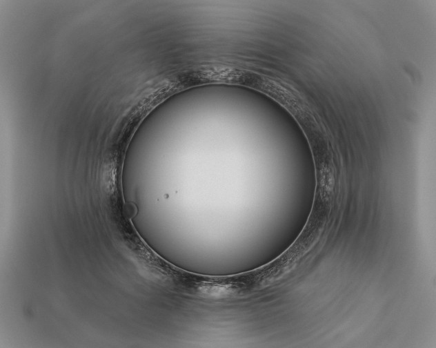 X0000113270602200909241544