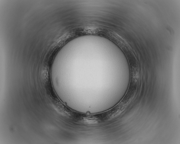 X0000113270603200909241544