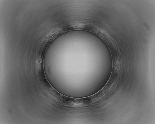 X0000113270604200909241544