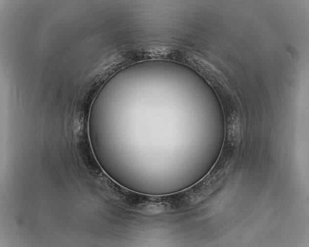 X0000113270608200909241544