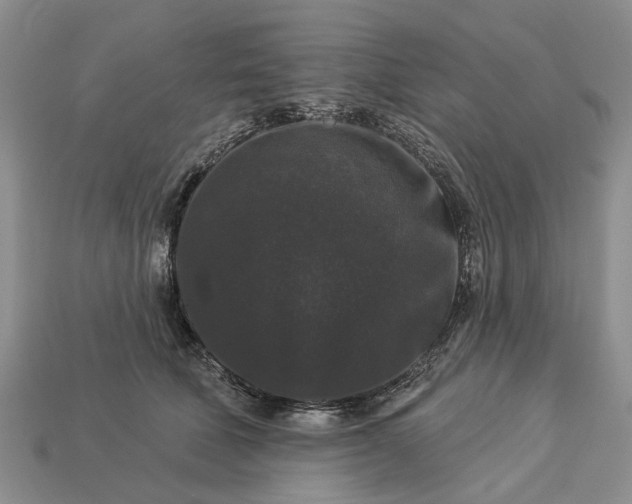 X0000113270610200909241544