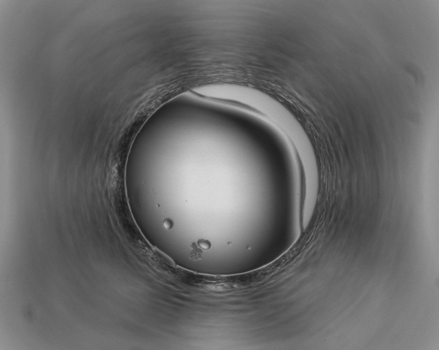 X0000113270611200909241544