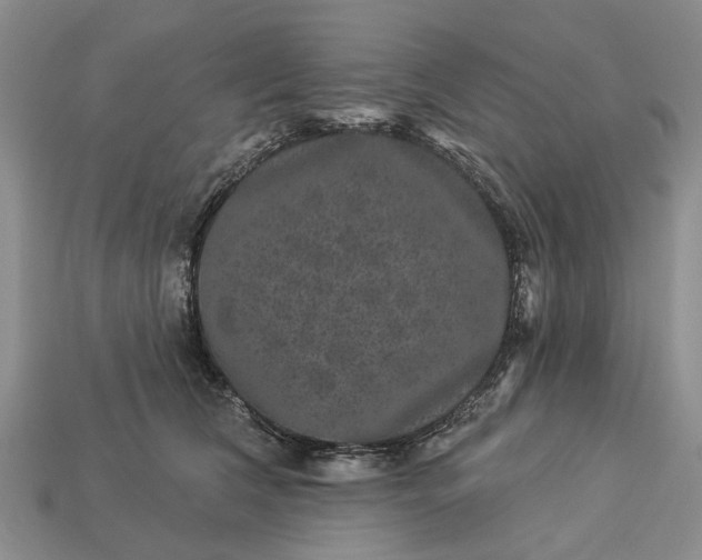 X0000113270612200909241544