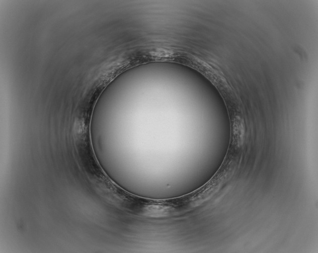 X0000113270614200909241544