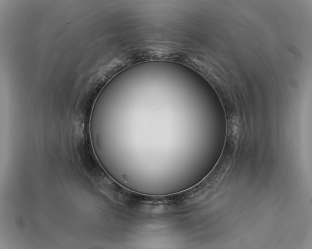 X0000113270615200909241544