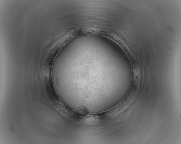 X0000113270617200909241544