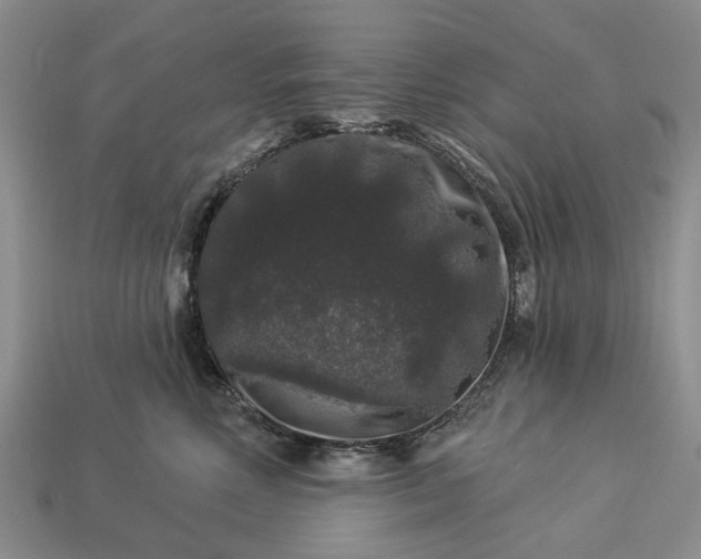 X0000113270618200909241544