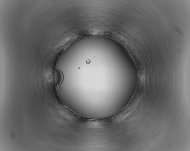 X0000113270620200909241544