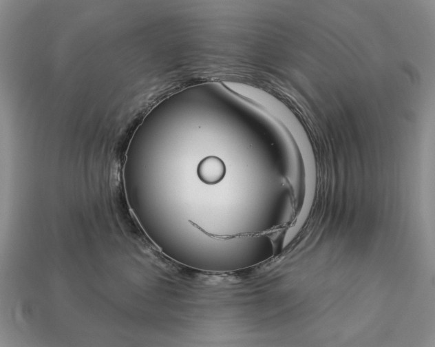 X0000113270621200909241544