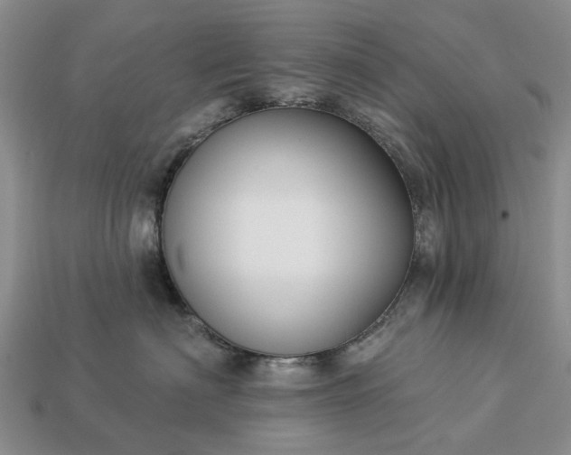 X0000113270622200909241544