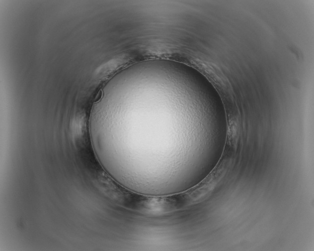 X0000113270623200909241544