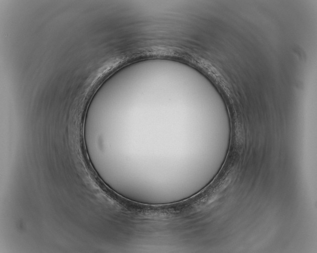 X0000113270625200909241544