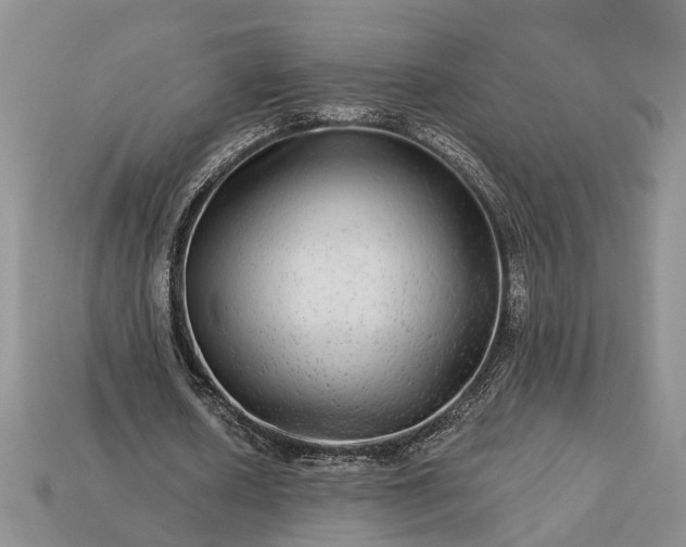 X0000113270626200909241544