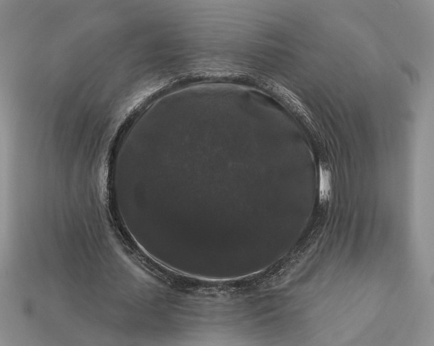 X0000113270627200909241544