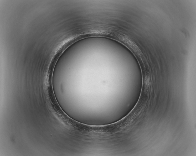 X0000113270628200909241544