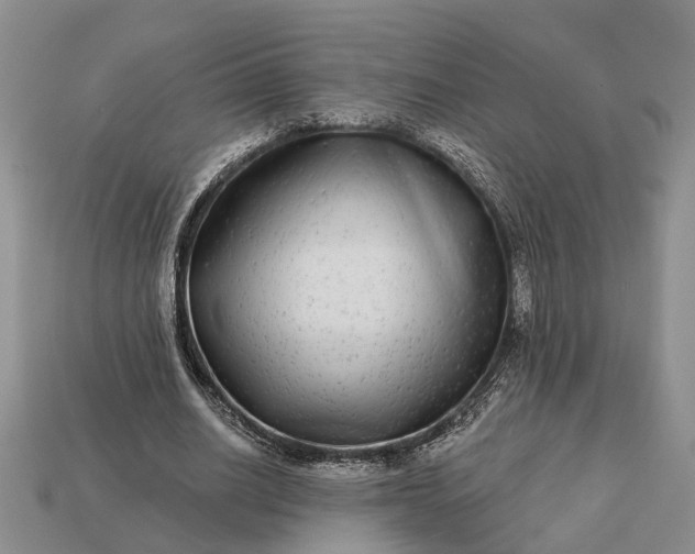 X0000113270630200909241544