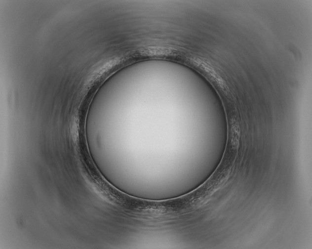 X0000113270631200909241544