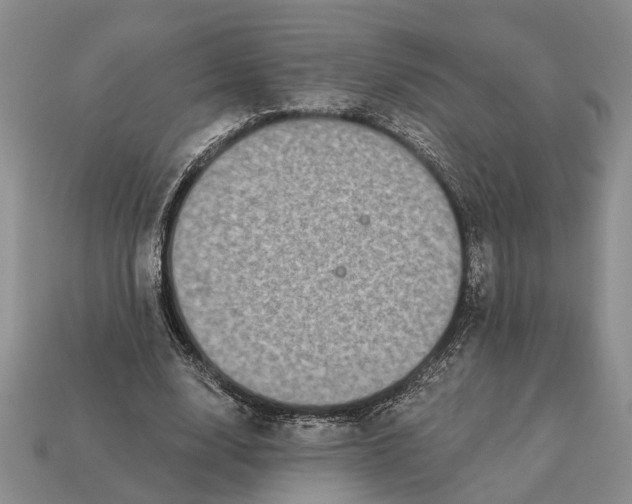 X0000113270632200909241544