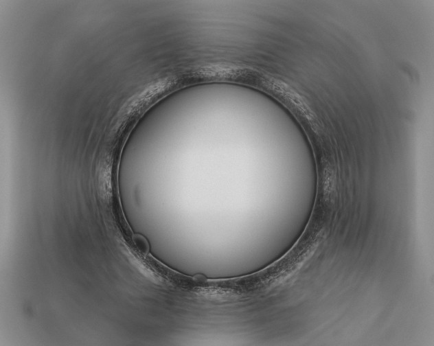 X0000113270633200909241544