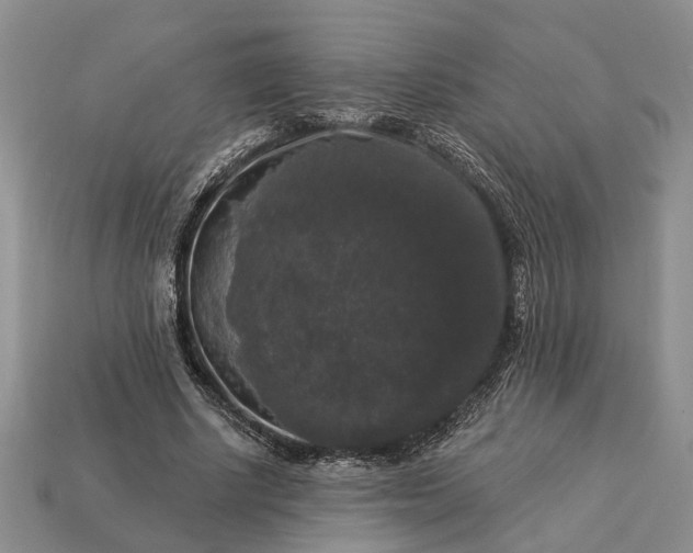 X0000113270634200909241544