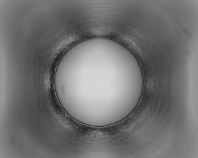 X0000113270635200909241544