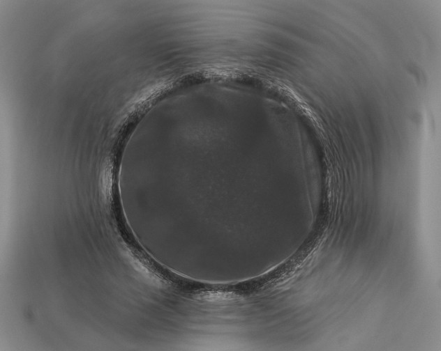 X0000113270637200909241544