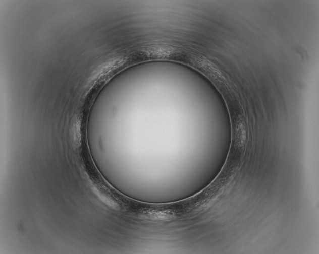 X0000113270638200909241544